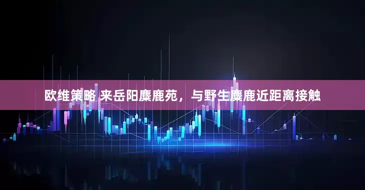 欧维策略 来岳阳麋鹿苑，与野生麋鹿近距离接触