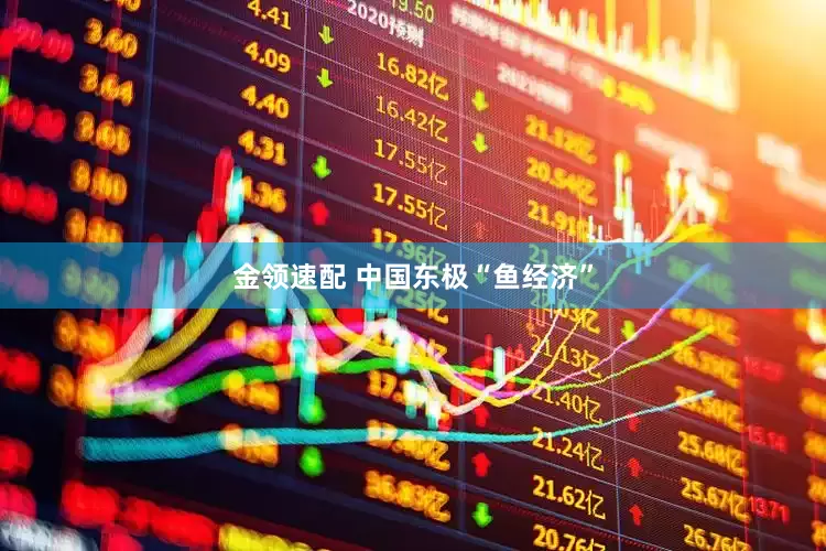 金领速配 中国东极“鱼经济”