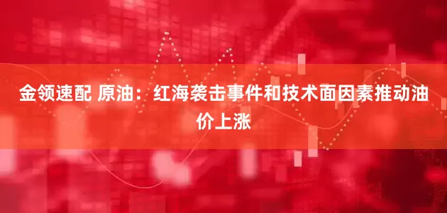 金领速配 原油：红海袭击事件和技术面因素推动油价上涨