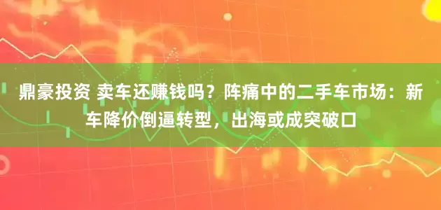 鼎豪投资 卖车还赚钱吗？阵痛中的二手车市场：新车降价倒逼转型，出海或成突破口