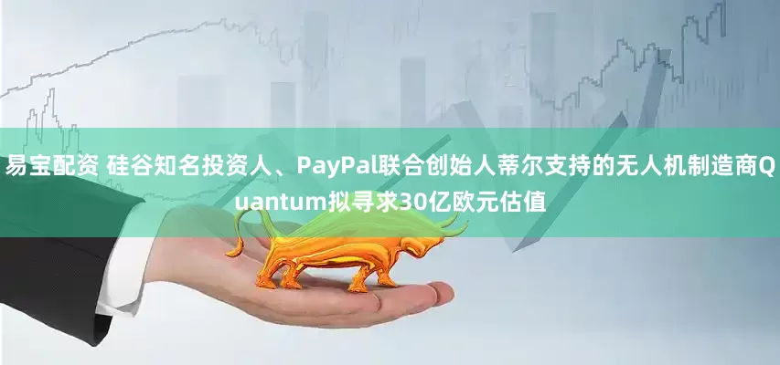 易宝配资 硅谷知名投资人、PayPal联合创始人蒂尔支持的无人机制造商Quantum拟寻求30亿欧元估值