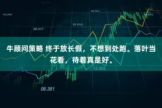 牛顾问策略 终于放长假，不想到处跑。落叶当花看，待着真是好。